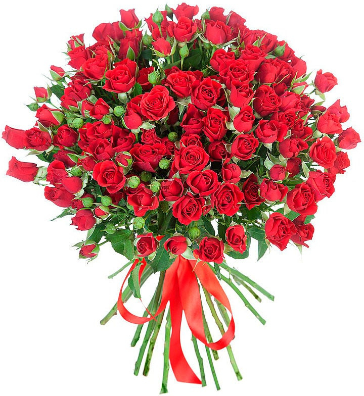 Кустовые красные розы