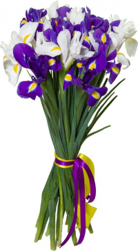 Ирисы микс №1 Ирисы микс №1
